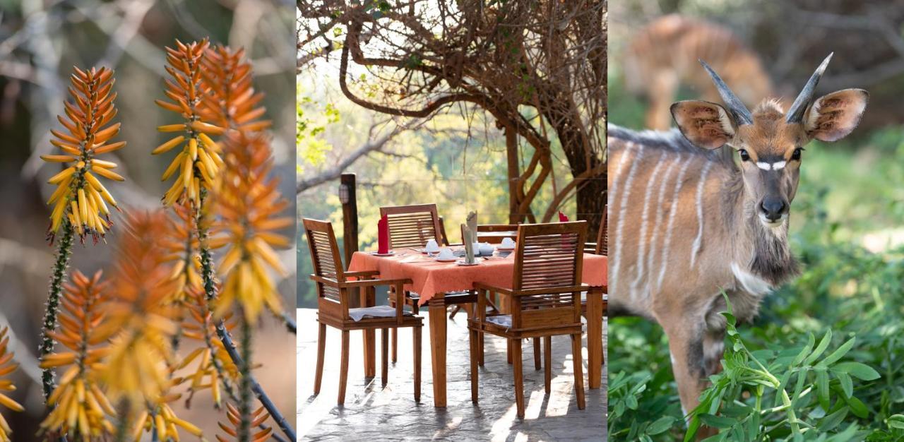 Blyde River Wilderness Lodge Ходспруит Екстериор снимка
